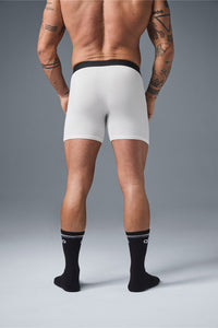 Boxer Day and Night