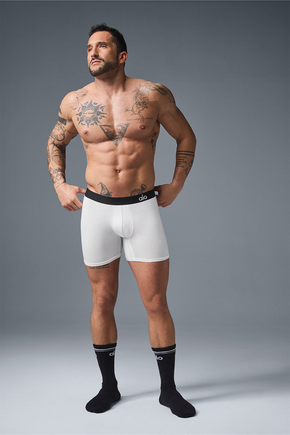 Boxer Day and Night