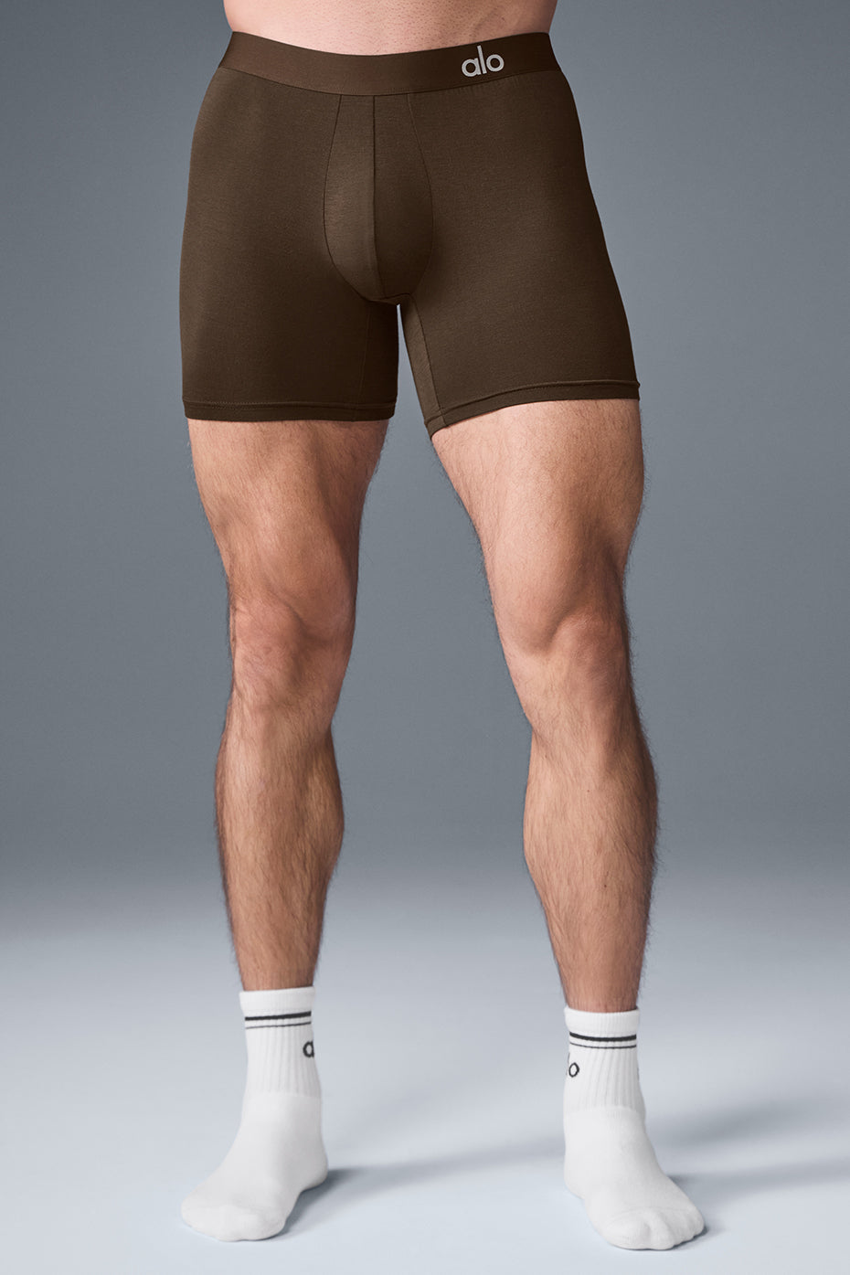 Boxer Day and Night