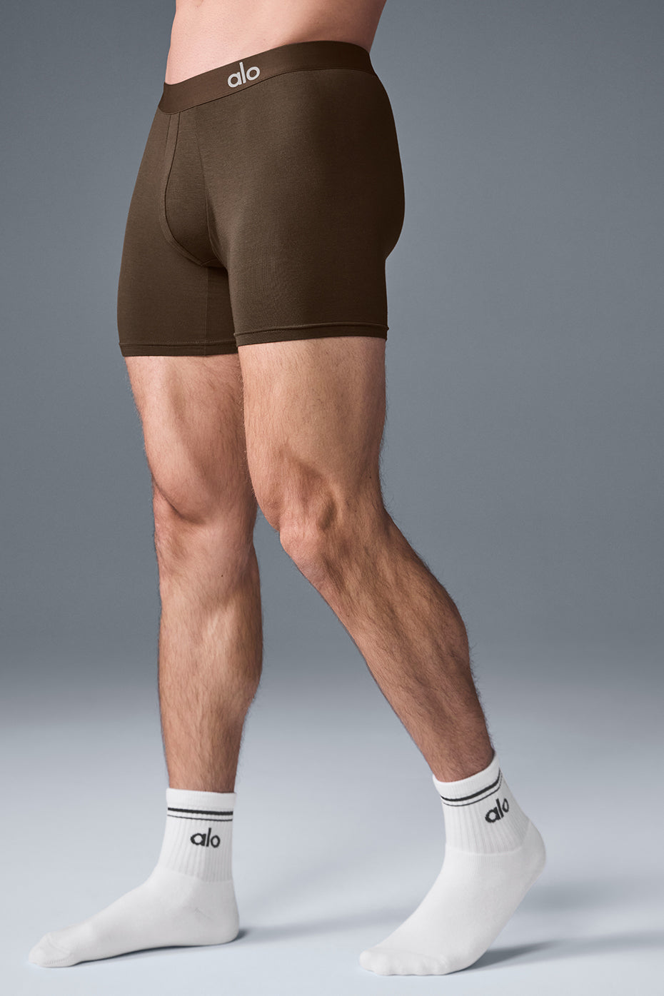 Boxer Day and Night