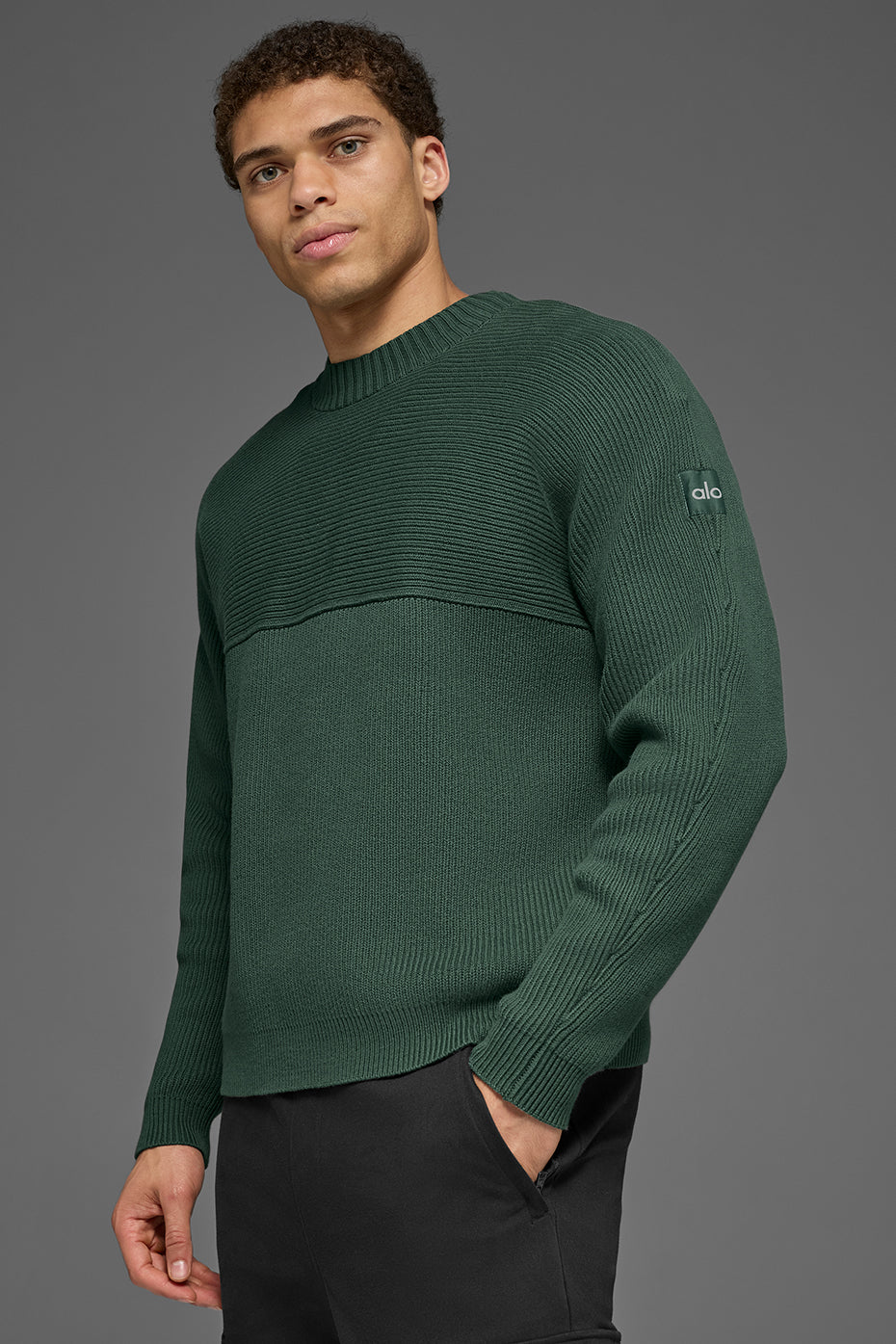 Domain Shift Rib Knit Sweater Crew