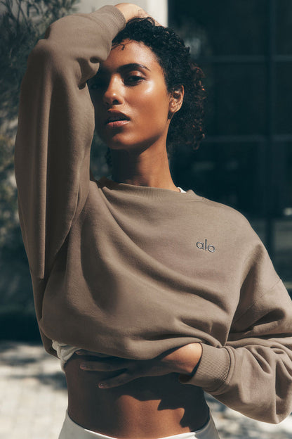 Accolade Crew Neck Pullover